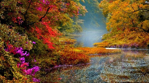 Nature-Lake_033.jpg