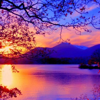 Nature-Lake_076