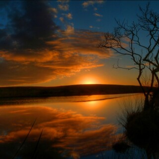 Nature-Lake_077