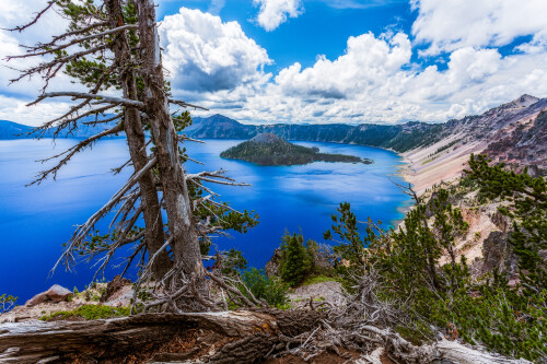 Nature Lake 096