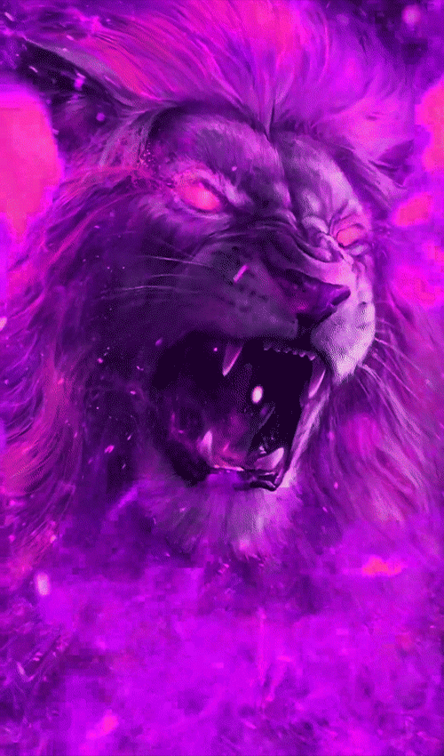 animals-lions_013.gif