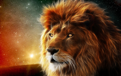 animals-lions_051.jpg