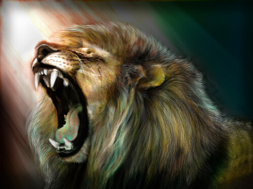 animals-lions_066.jpg