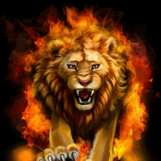 animals-lions_014