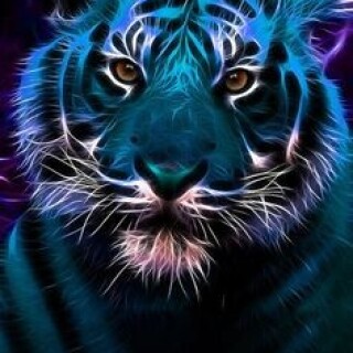animals-tigers_40