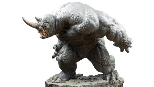 Animals-Rhino_52.jpg