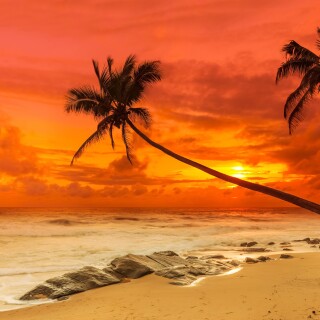 Nature---Ocean_056