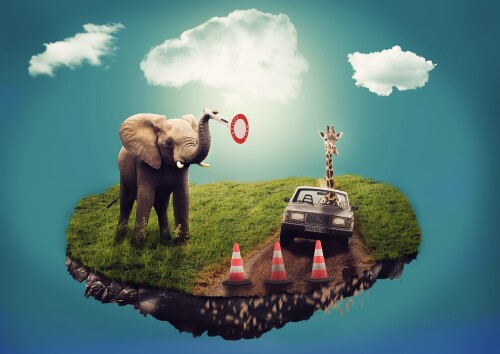 animals-elephant_76.jpeg