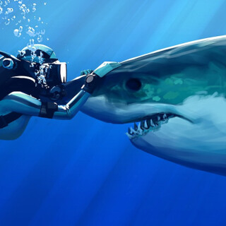 animals-sharks_14