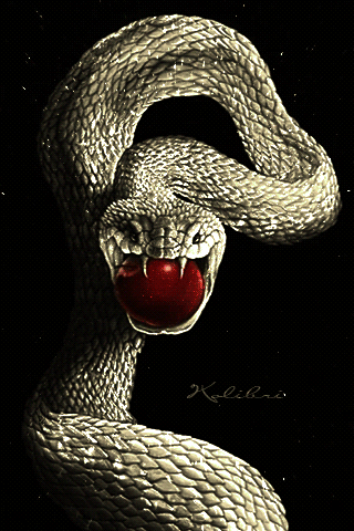 animals-snake_022.gif