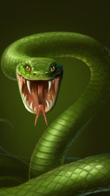 animals-snake_023.gif