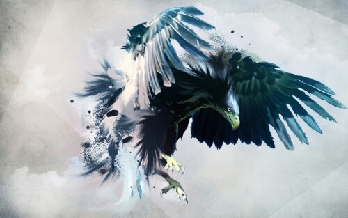 Animals-Eagle_057.jpg