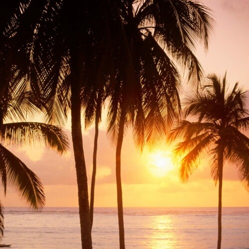 Nature Beach 045