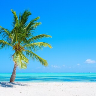 Nature---Beach_104