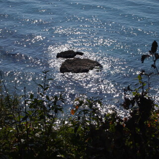 Nature---Ocean_004