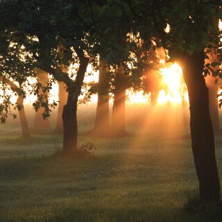 Nature---Sunrise_001