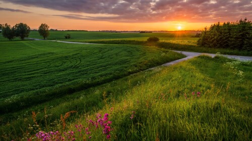 Nature---Sunrise_012.jpg