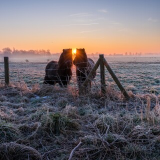 Nature---Sunrise_084