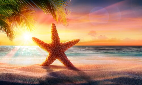 Nature---Sunrise_095.jpg