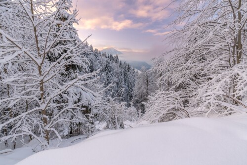 Nature---Sunrise_132.jpg