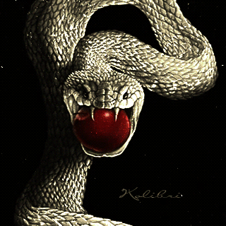 animals-snake_022