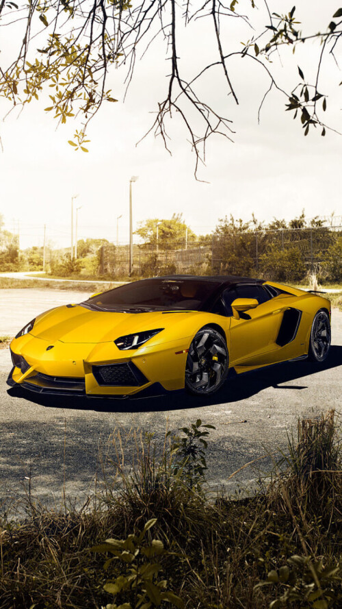 mobile-vehicle-lamborghini_14.jpg