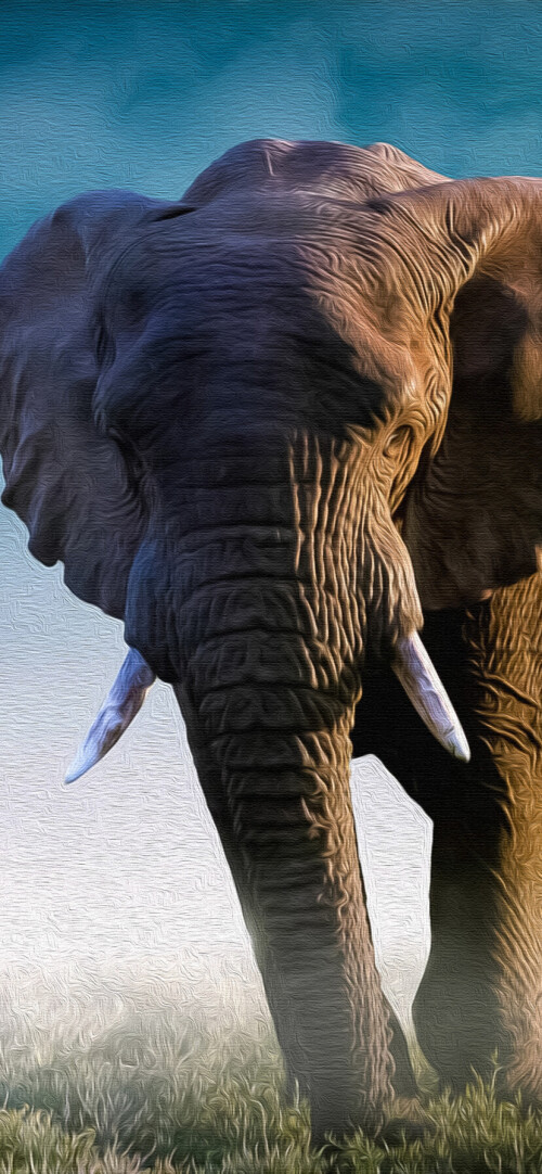 mobile-animal-elephant_25.jpg