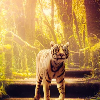 mobile-animal-tiger_067