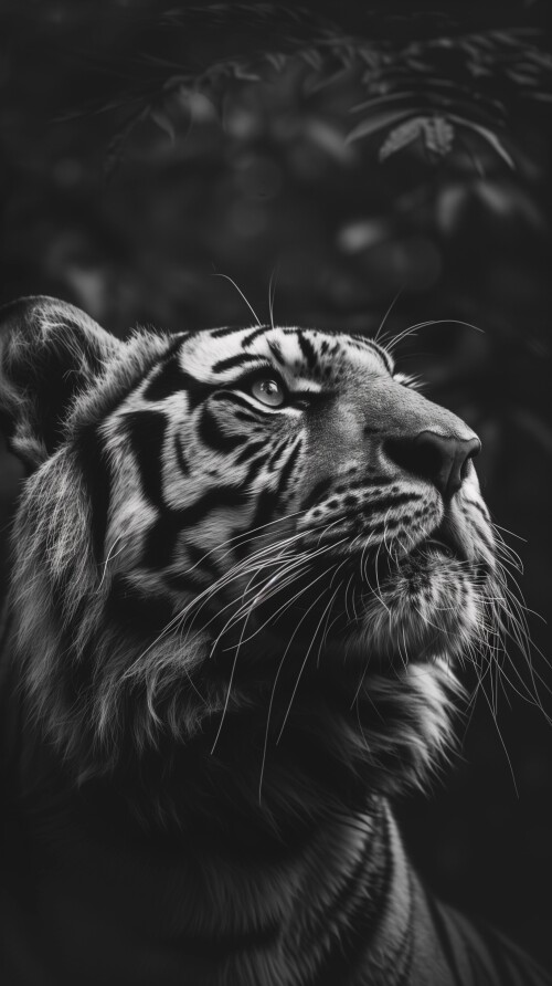 mobile-animal-tiger_129.jpeg