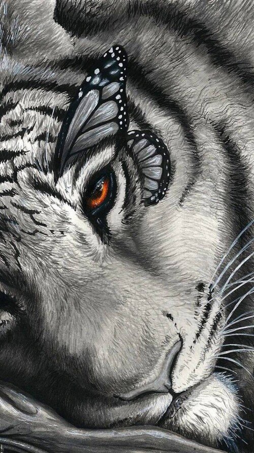 mobile-animal-tiger_020.jpg