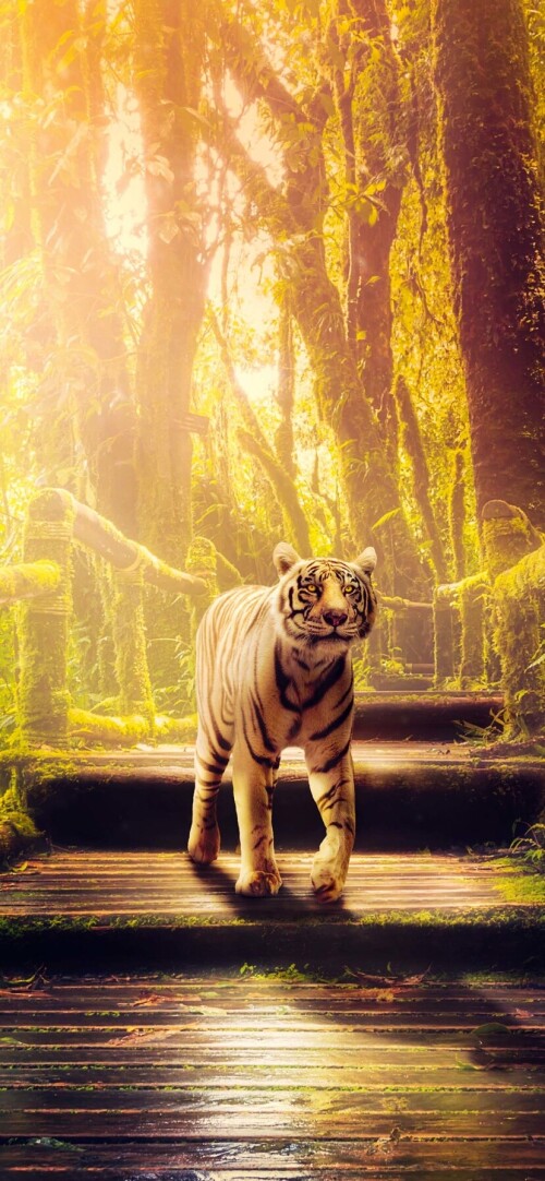 mobile-animal-tiger_067.jpg