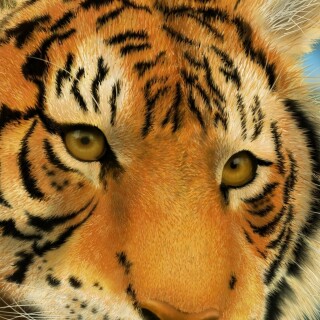 mobile-animal-tiger_113