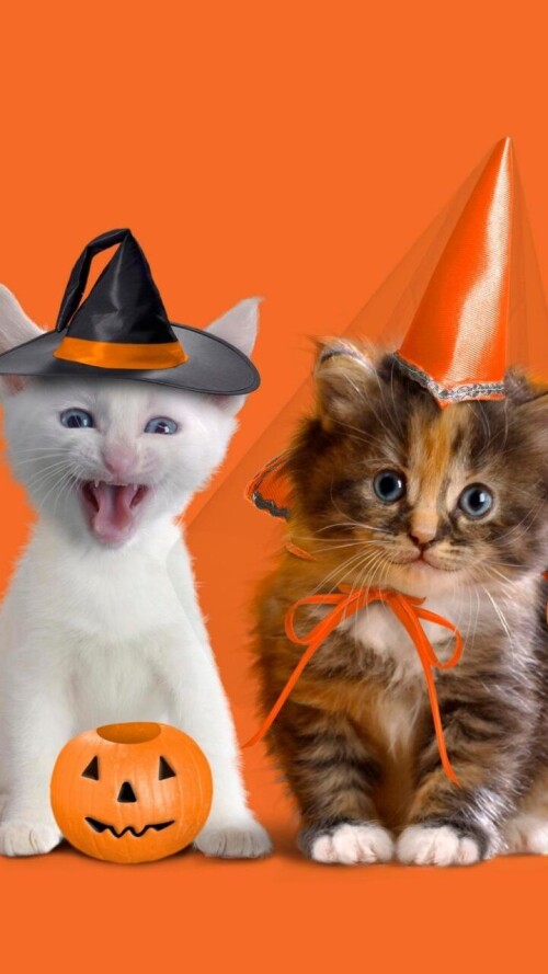 halloween-mobile_06.jpg