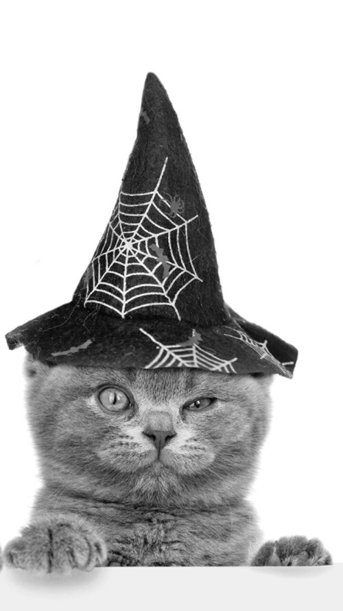 halloween-mobile_27.jpg