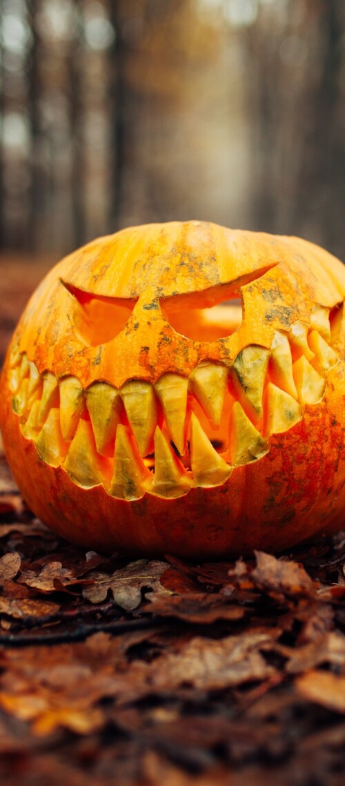 halloween-mobile_59.jpg
