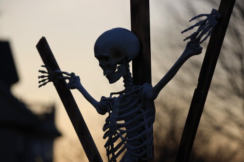 halloween_192.jpeg
