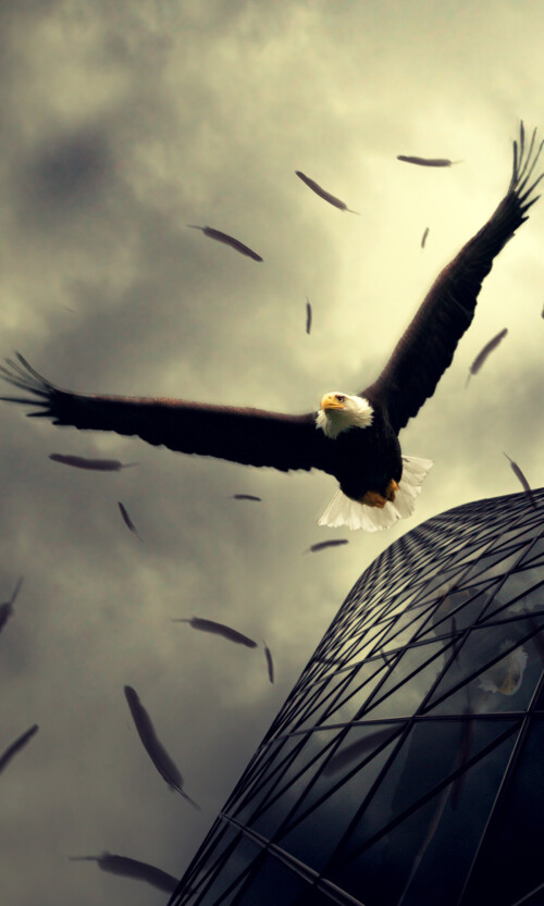 mobile-animals-eagle_15.jpg