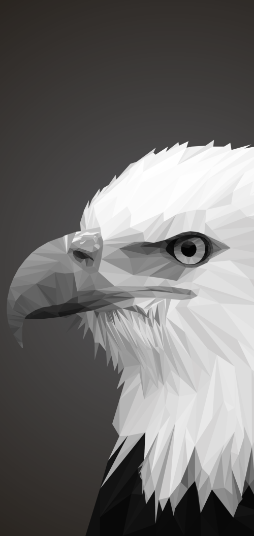 mobile-animals-eagle_28.png