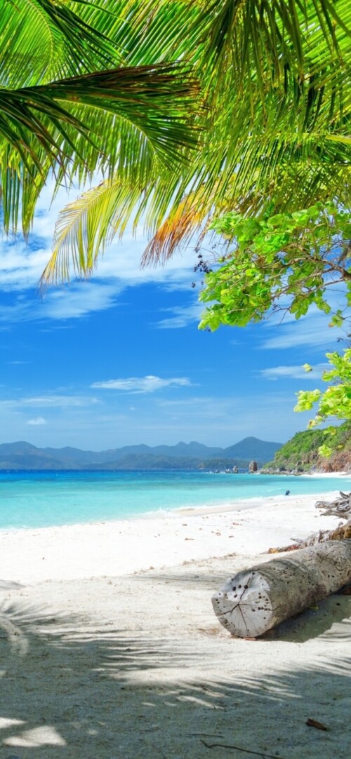 mobile-nature-beach_130.jpg