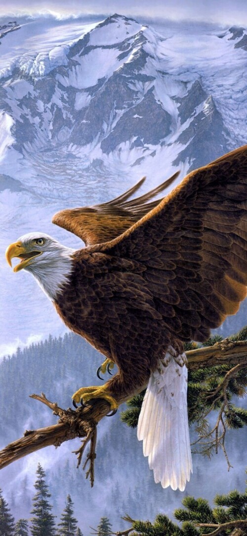 mobile-animals-eagle_33.jpg