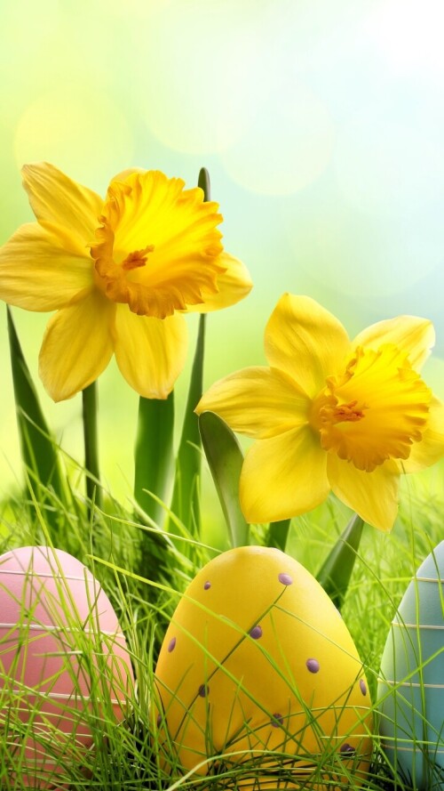 mobile-holidys-easter_01.jpg
