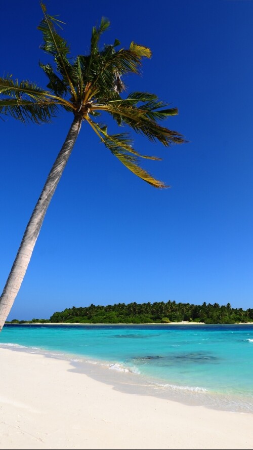 mobile-nature-beach_002.jpg