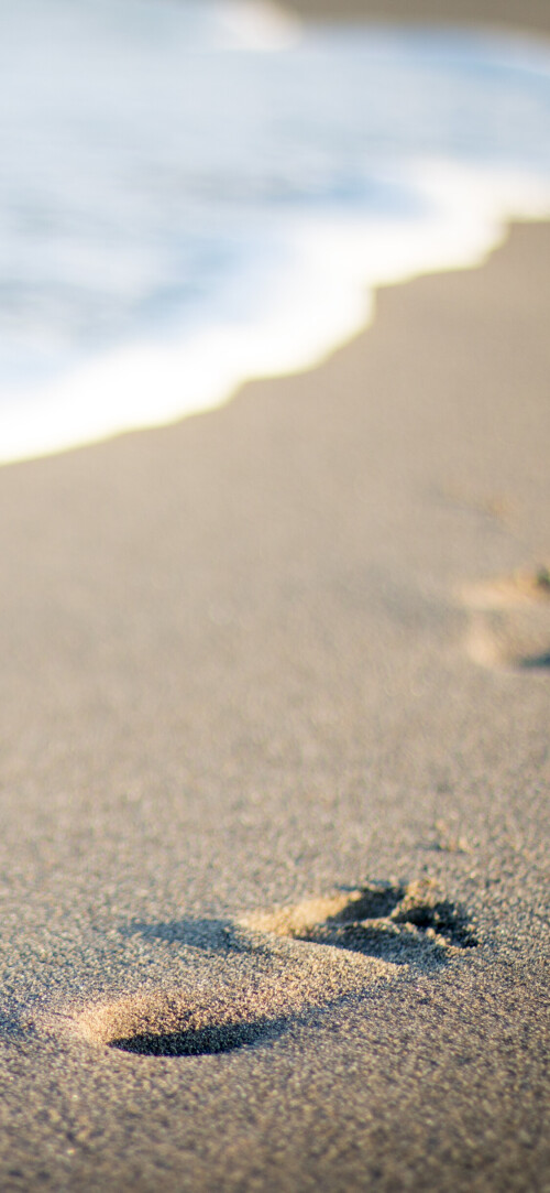mobile-nature-beach_038.jpg