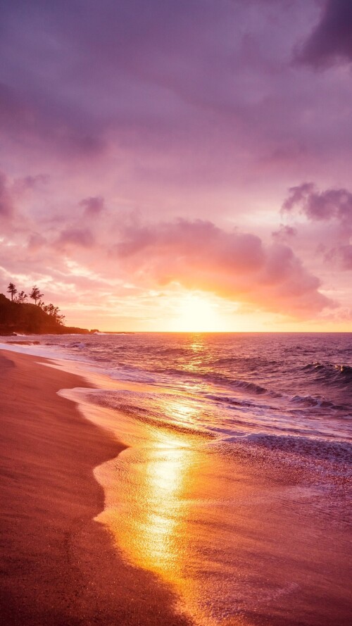 mobile-nature-beach_057.jpg