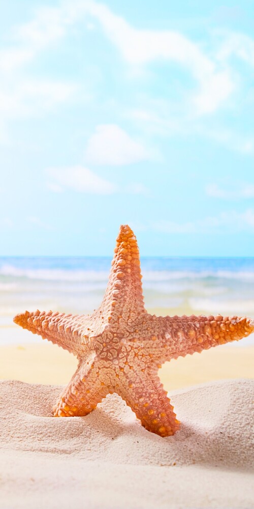 mobile-nature-beach_096.jpg
