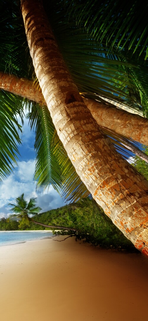 mobile-nature-beach_103.jpg
