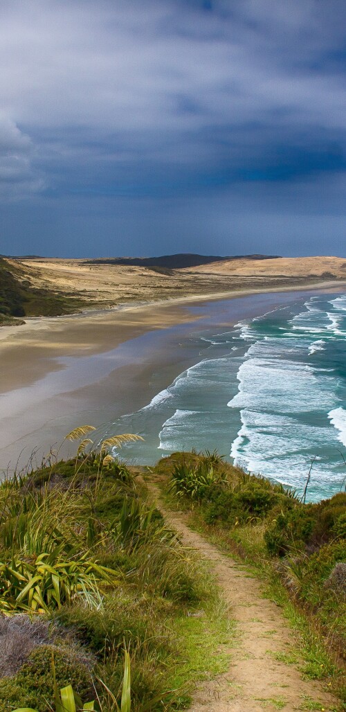 mobile-nature-beach_104.jpg