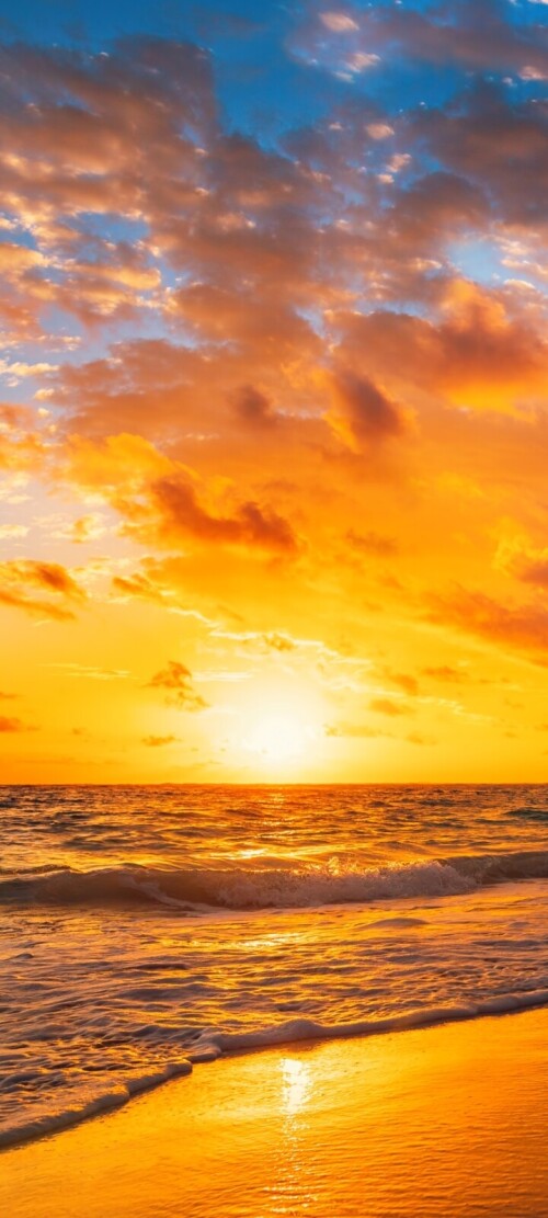 mobile-nature-beach_117.jpg