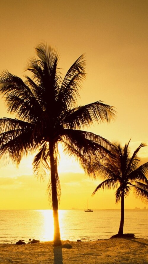 mobile-nature-beach_153.jpg
