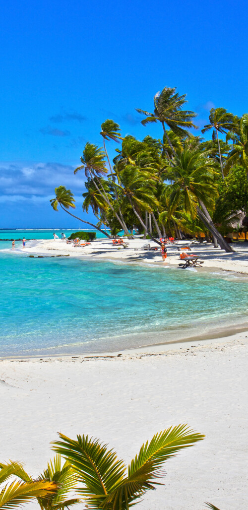 mobile-nature-beach_168.jpg